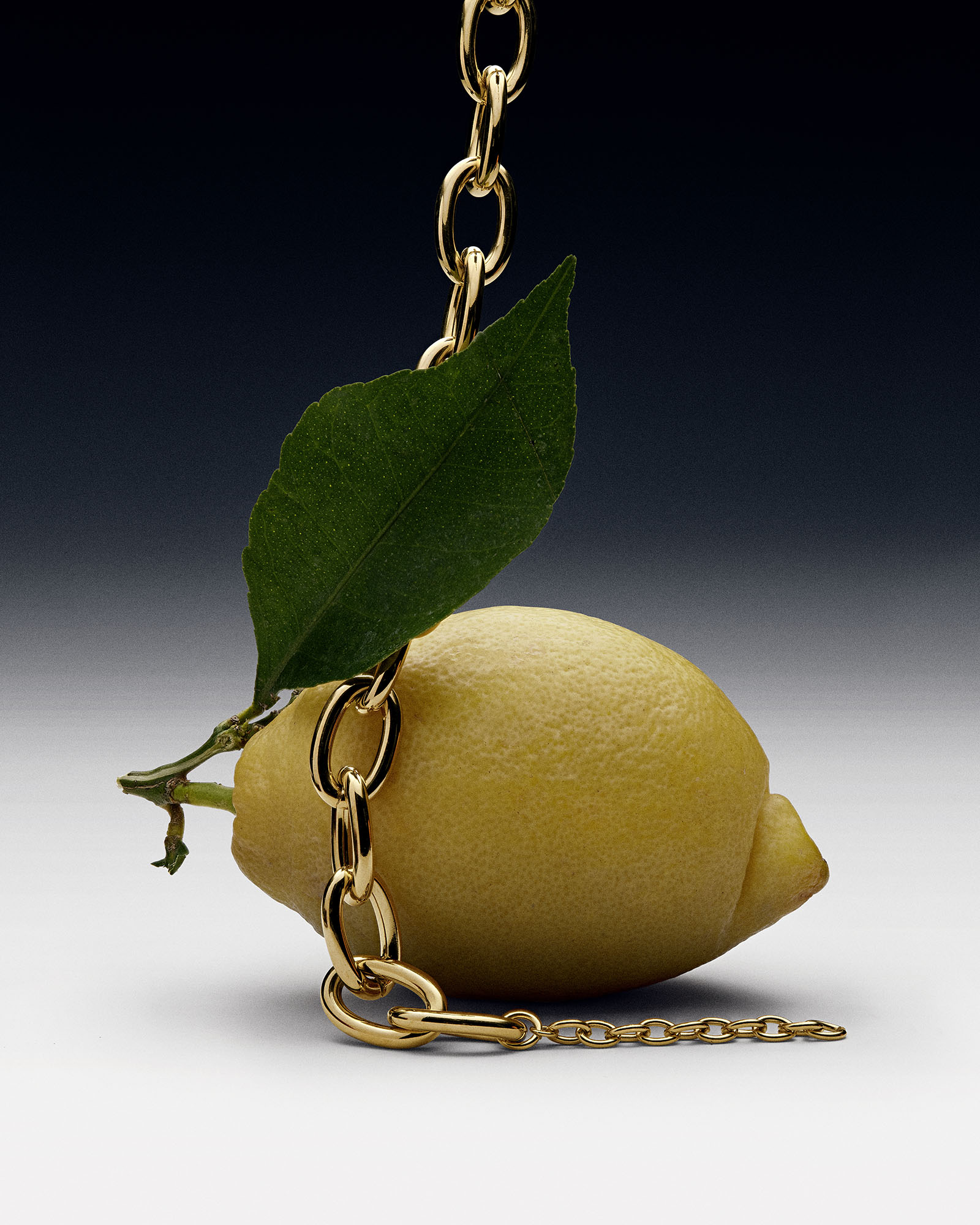 fruit & jewellery