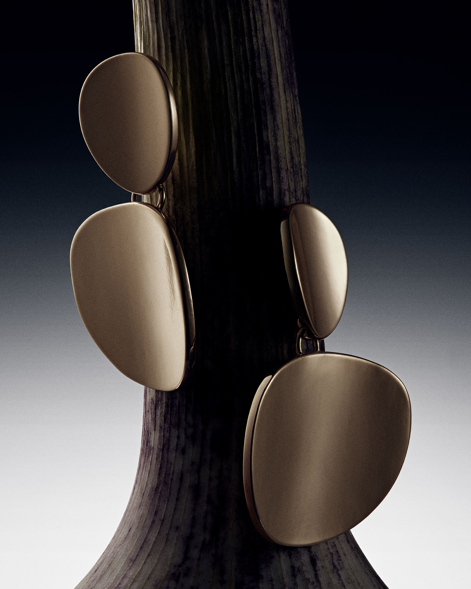 fruit & jewellery