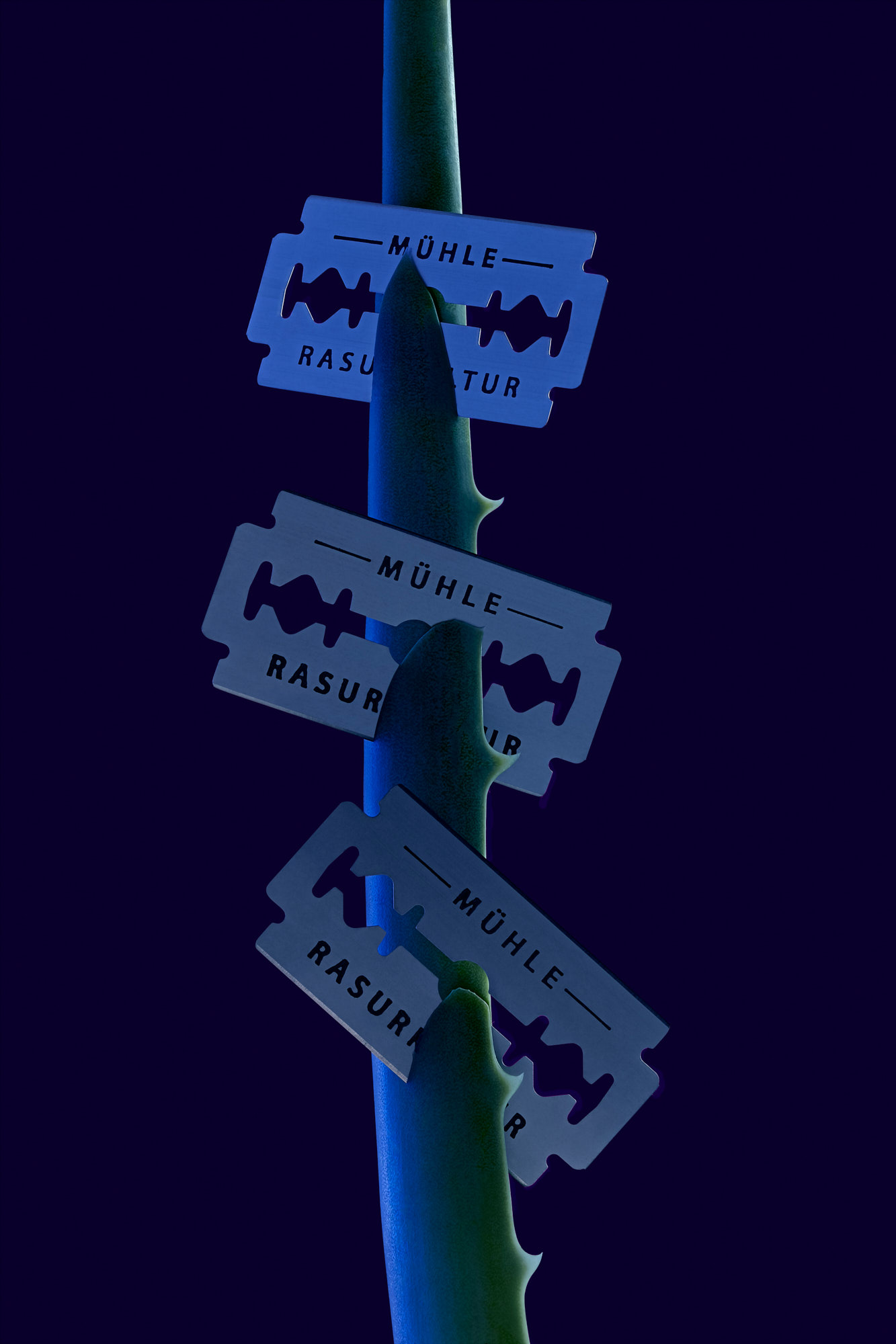 M&Uuml;HLE Rasurkultur